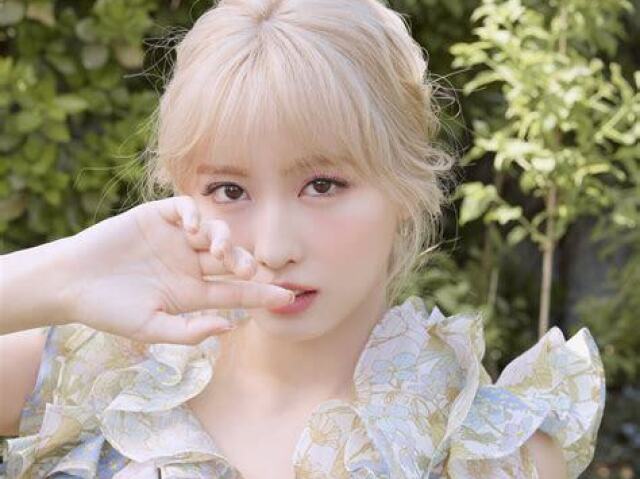 Momo! 🦋