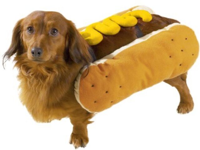 hot dog