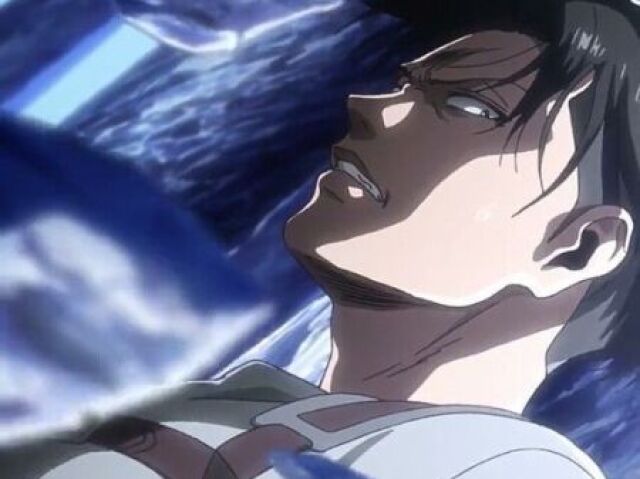 Levi
