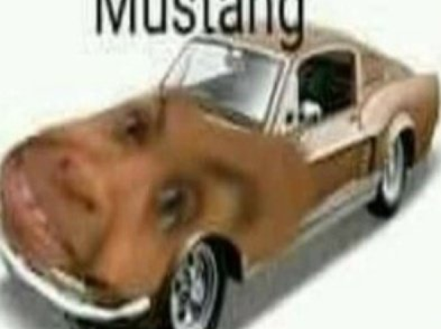 Cirilo mustang