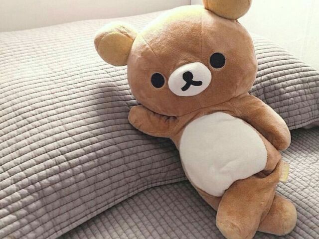 Urso de Pelucia ๐