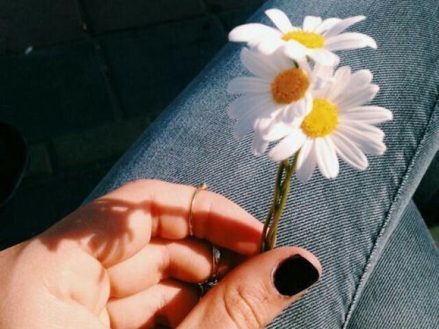 Flores ๐