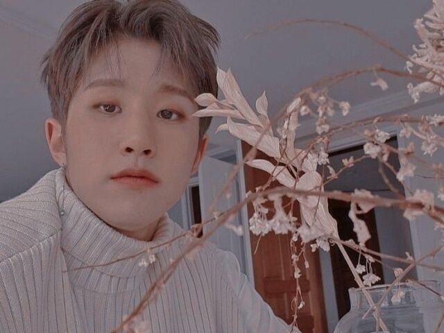 ⌯ ࣪ ˖ 🎀 ⋆ ʾ ֑ ?
Jinjin ⌯ ࣪ ˖ 🎀 ⋆ ʾ ֑ ?