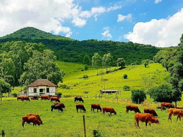 Roça confortável e bonita