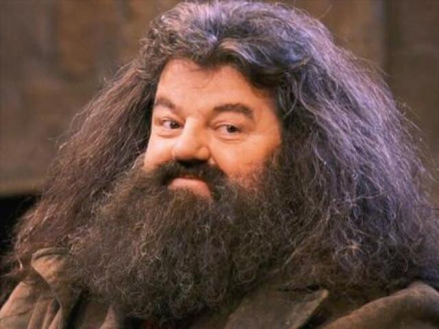 Hagrid