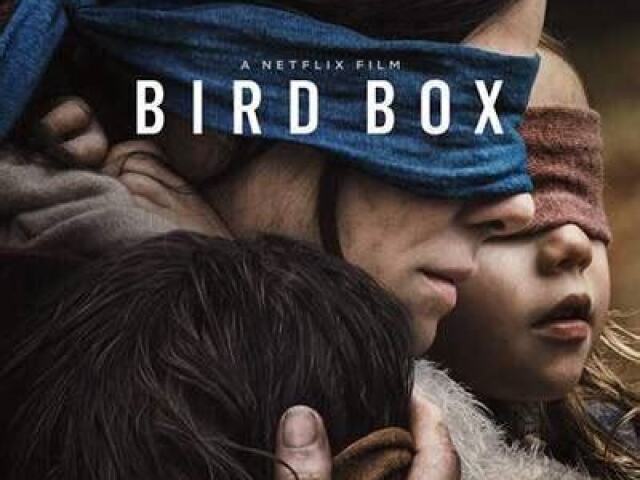 Bird box