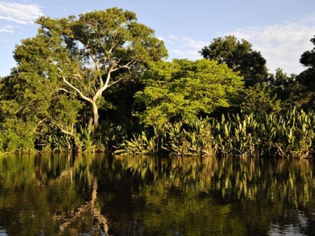 Pantanal