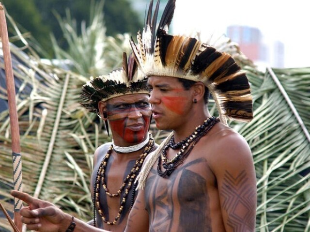 Indígena