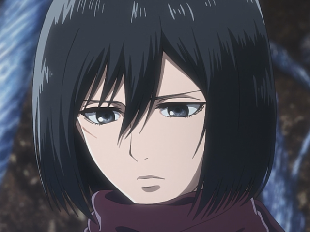 mikasa