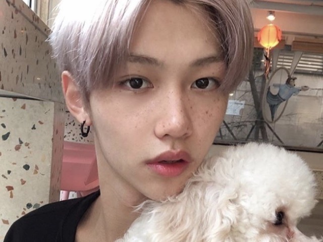 Felix ><