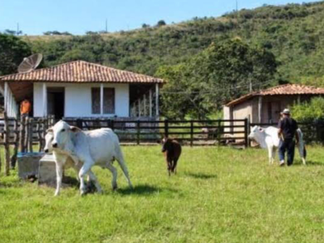 Zona rural