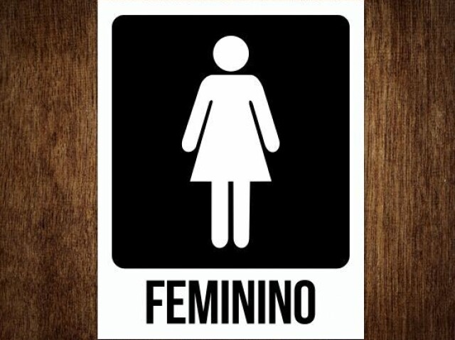 Feminino