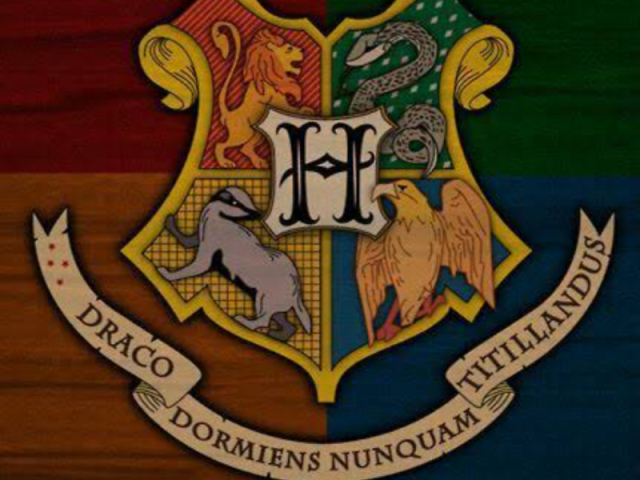 Seguidor do Harry.