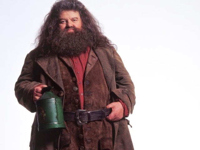 Hagrid