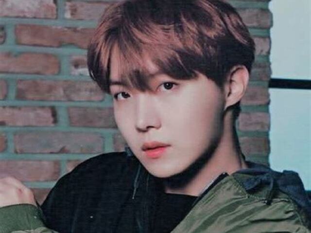 Hoseok (J-hope)