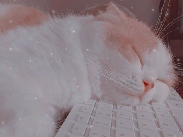 🌸 Escolha imagens e te recomendarei uma música 🌸