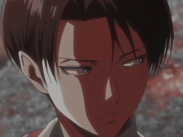 Levi