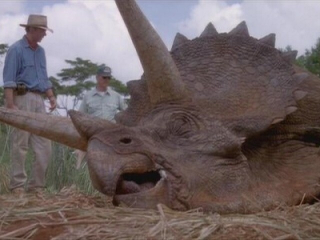 triceratops