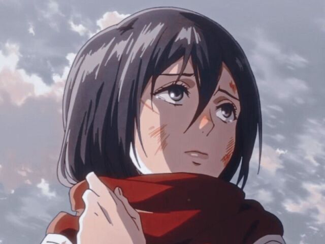 Mikasa