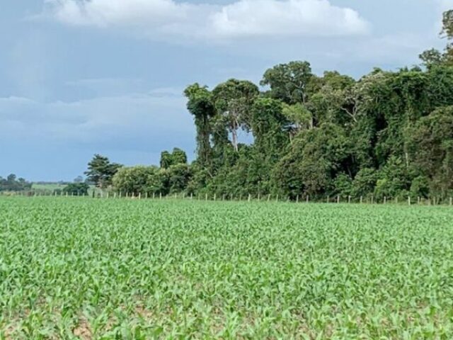 Mato Grosso do Sul