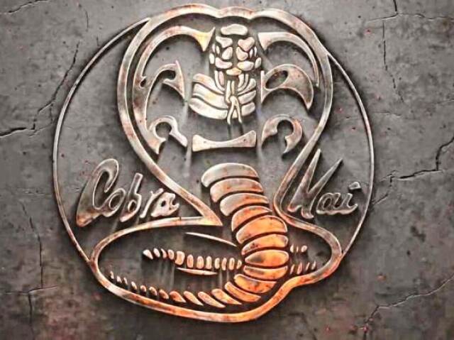 Você conhece Cobra Kai?