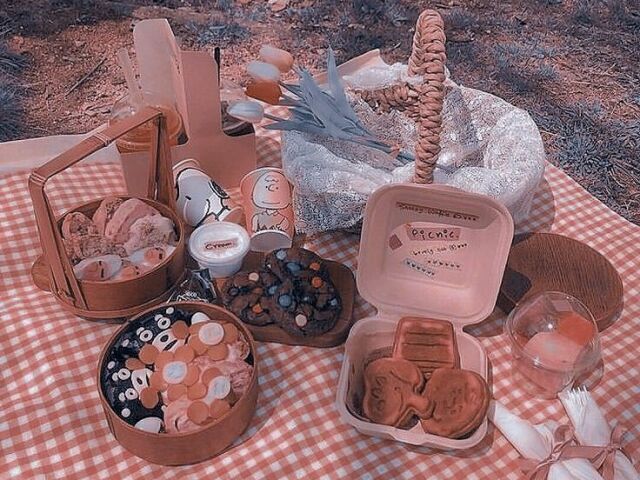 โง*:. Monte seu piquenique ๐ฐ
