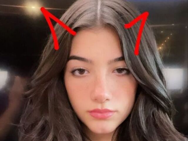 VocĂȘ realmente conhece a Charli D'amelio? đ