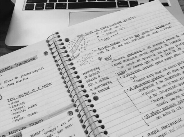 estudar