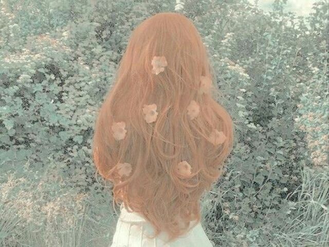SOFT˚₊·➳❥