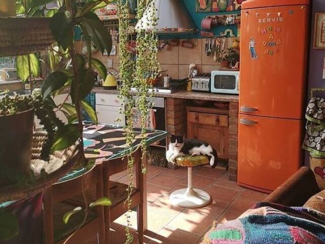 eu to na selva?