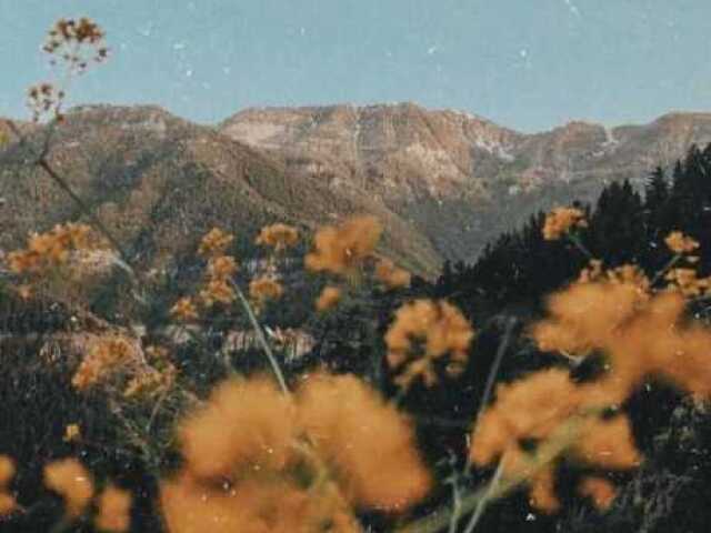Amarelo