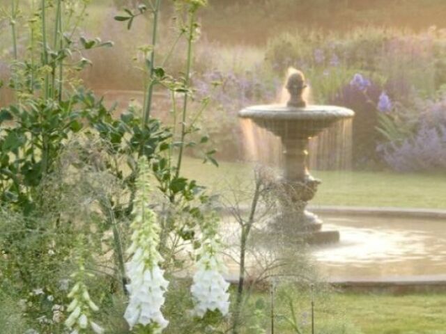No meu jardim ( ̄o ̄) . z Z