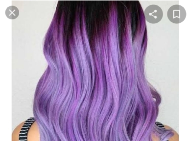 Roxo violeta purple .