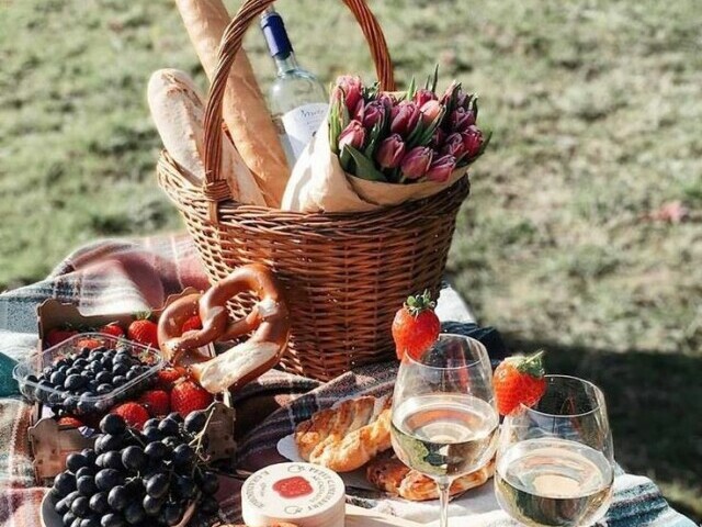 Piquenique perfeito - ✨