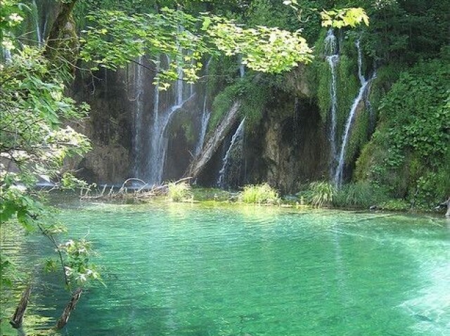 Lugar perfeito para relaxar, lugar arborizado e ouve-se a água a correr