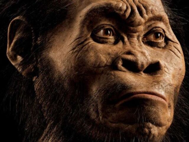 AUSTRALOPITHECUS