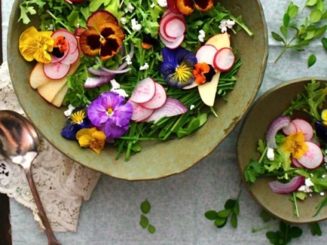 Salada com flores comestíveis