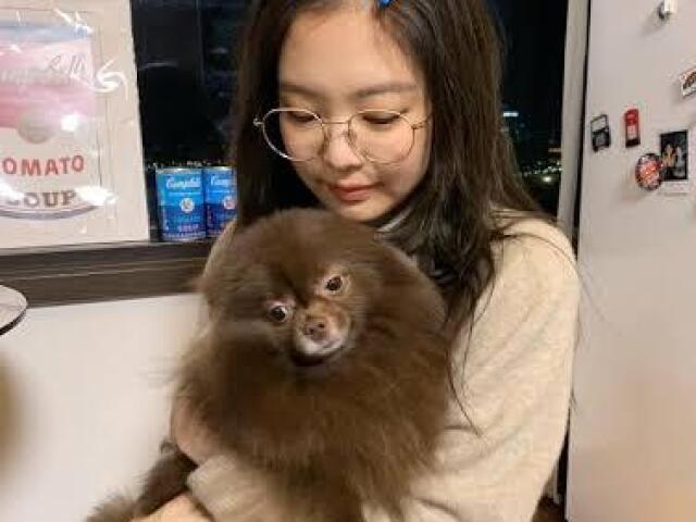 Brincɑr com o cɑchorrinho dɑ Jennie