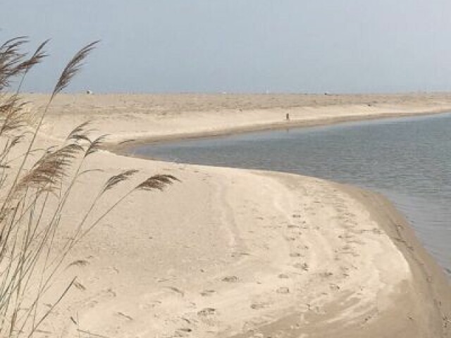 Prefiro um piquenique na grama ou na areia