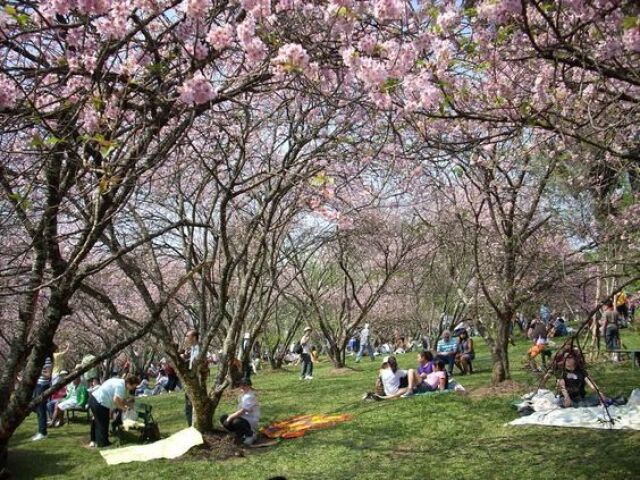 no parque