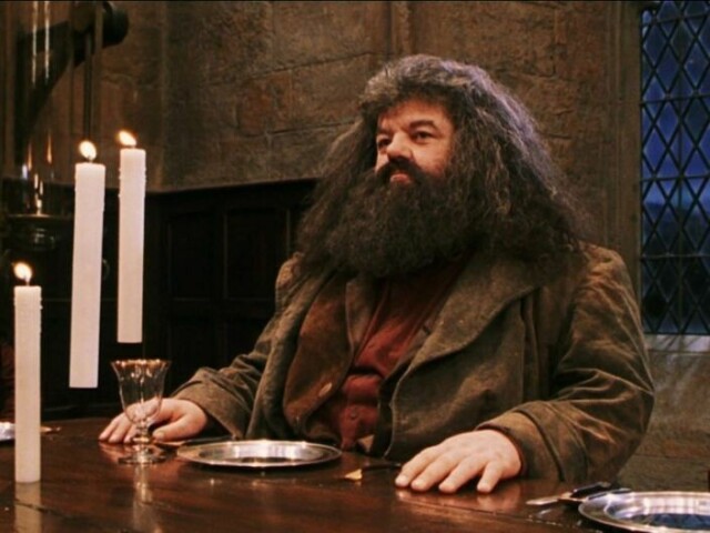 Hagrid