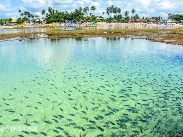 Porto de galinhas