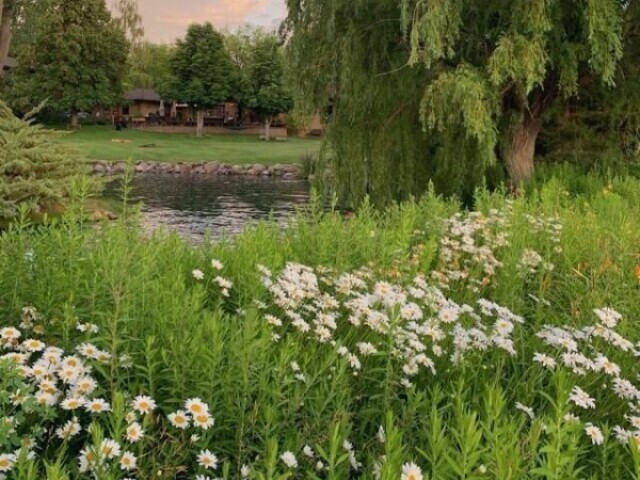 campo.