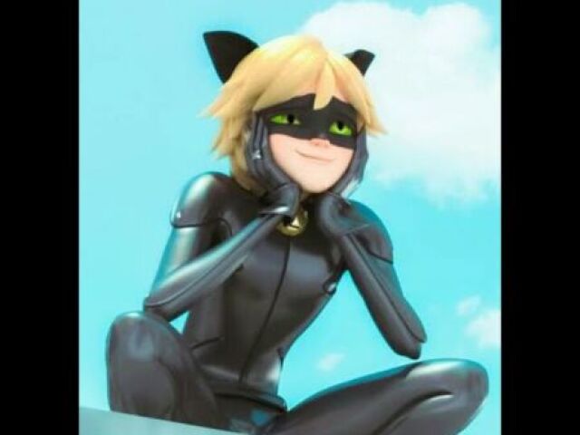 Cat noir