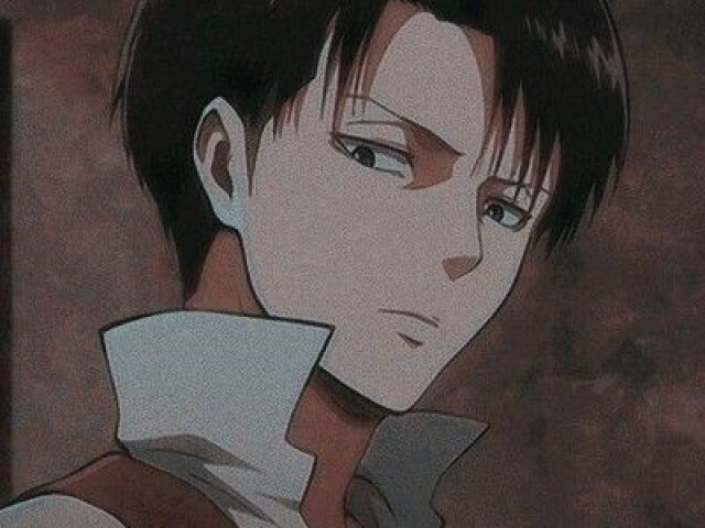 Levi