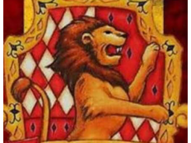 Grifinória 🔴