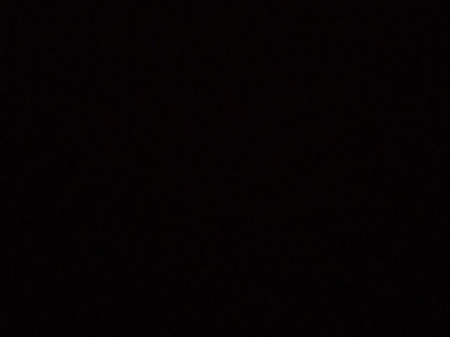 Você amou?