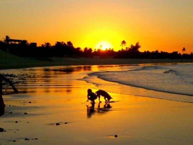 praia ao pôr do sol🌞