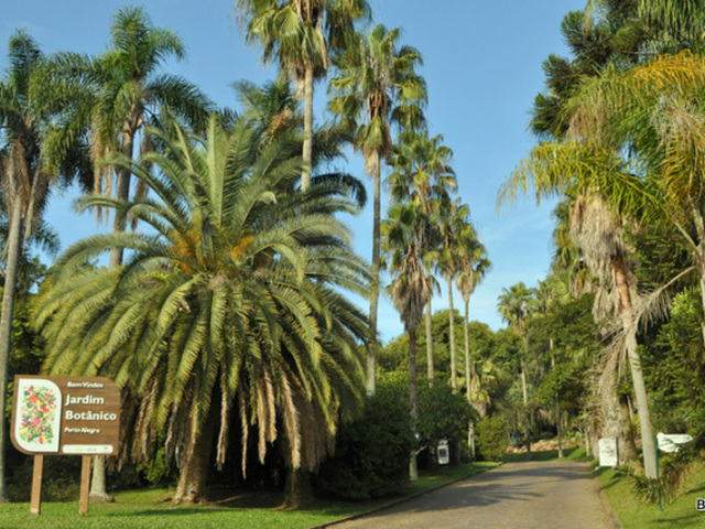 jardim botânico🌄