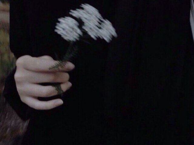 ๐ฎ